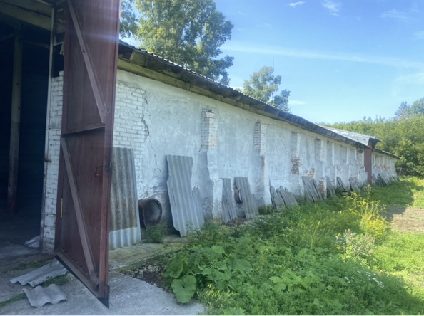 
  Сдается склад, 1200 м², Элеваторная ул, д. 8
. Фото 5.