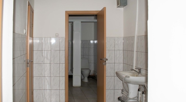 
  Сдается универсальное помещение, 2200 м², Чернышевского ул, д. 282
. Фото 11.
