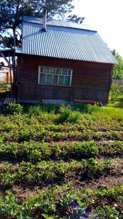 
  Продается дача, 60 м², СНТ сдт Виктория
. Фото 5.