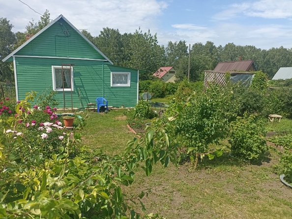 
  Продается дача, 30 м², поселок Прутской
. Фото 1.