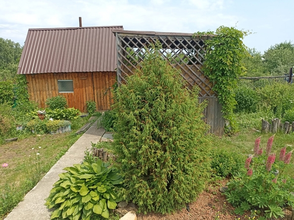 
  Продается дача, 30 м², поселок Прутской
. Фото 10.