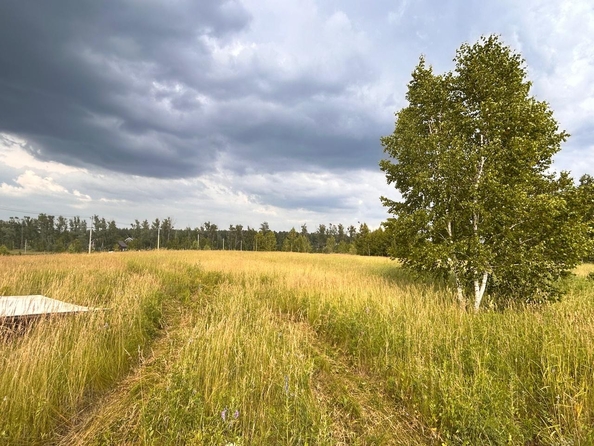 
  Продается коттедж, 166 м², село Фирсово
. Фото 7.