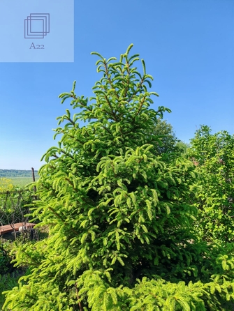 
  Продается дом, 29 м², село Стуково
. Фото 5.