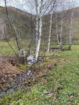 
  Продается земельный участок, 16230 соток, село Солонешное
. Фото 1.