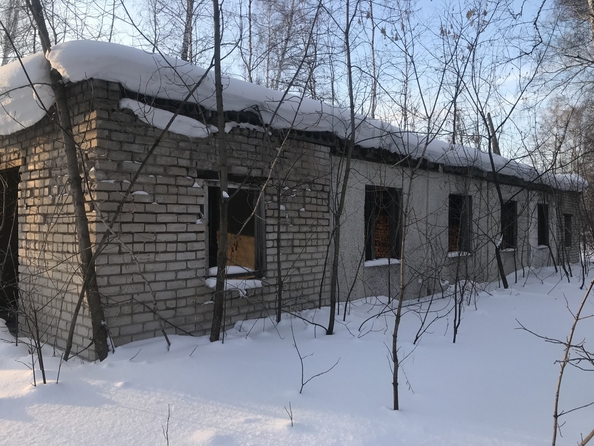 
  Продается земельный участок, 34 сотки, село Зимари
. Фото 4.