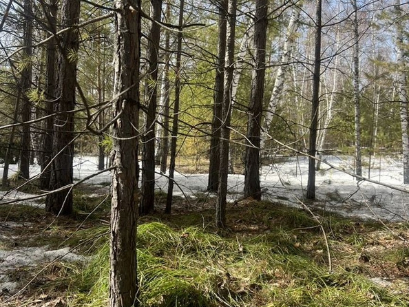 
  Продается земельный участок, 9 соток, село Баюновские Ключи
. Фото 13.