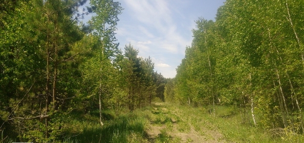
  Продается земельный участок, 9 соток, село Баюновские Ключи
. Фото 19.