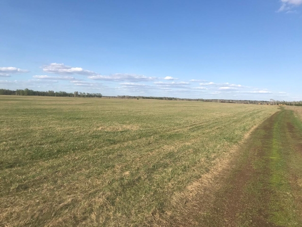 
  Продается земельный участок, 8 соток,  Палитра ЖК
. Фото 4.