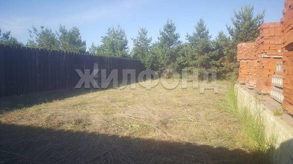 
  Продается земельный участок, 10 соток, село Фирсово
. Фото 2.