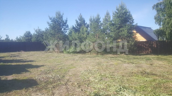 
  Продается земельный участок, 10 соток, село Фирсово
. Фото 8.