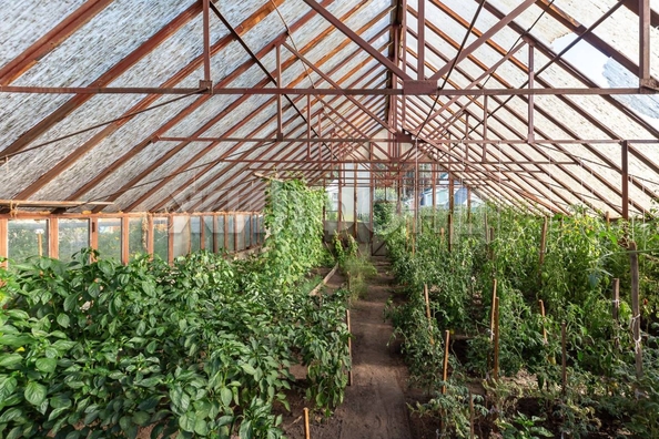 
  Продается земельный участок, 7.5 соток, село Власиха
. Фото 10.