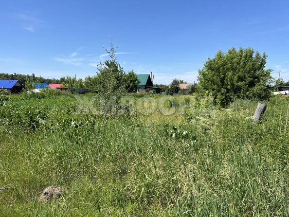 
  Продается дом, 39.2 м², поселок Лесной
. Фото 6.