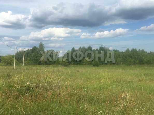 
  Продается земельный участок, 10 соток, поселок Черницк
. Фото 8.