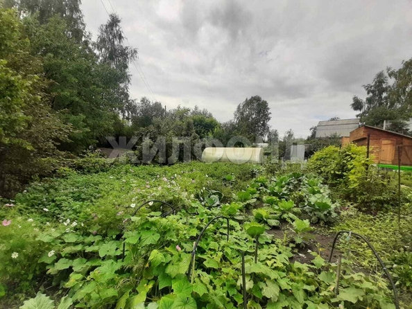 
  Продается дача, 40 м², Барнаул
. Фото 6.
