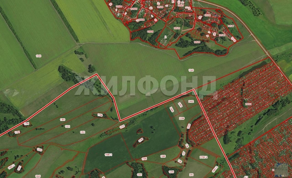 
  Продается земельный участок, 30 соток, село Шахи
. Фото 2.