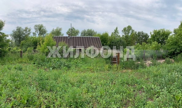 
  Продается земельный участок, 46 соток, поселок Черницк
. Фото 7.