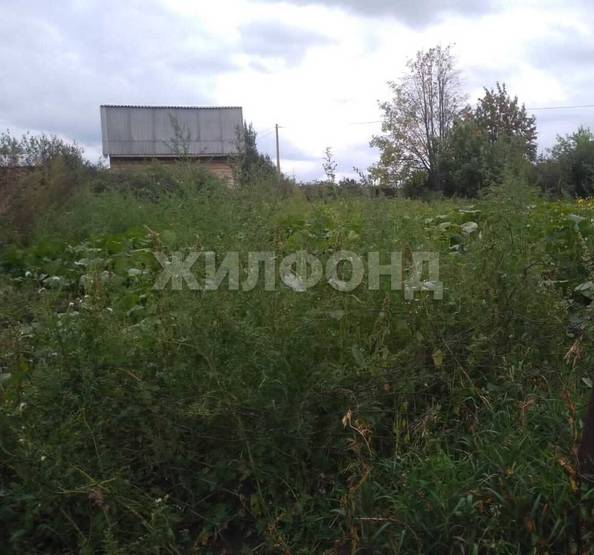 
  Продается земельный участок, 5 соток, СНТ Меланжист
. Фото 3.