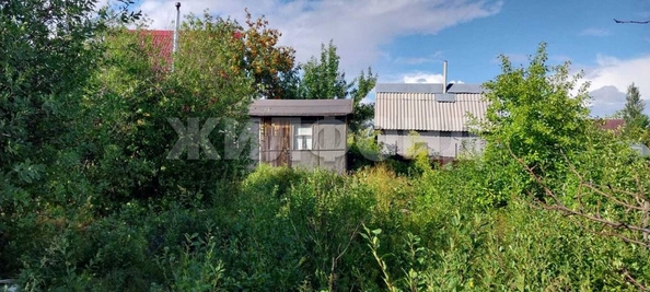 
  Продается земельный участок, 12 соток, СНТ Калинка
. Фото 2.