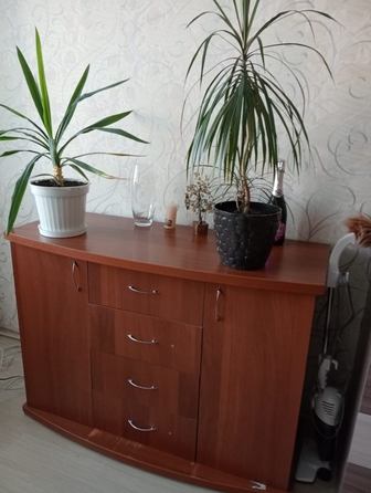 
  Сдам 1-комн. квартиру, 38 м², Сиреневая ул, д. 30
. Фото 5.