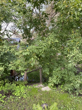 
  Продается универсальное помещение, 880 м², Бийская ул, д. 32/2
. Фото 30.