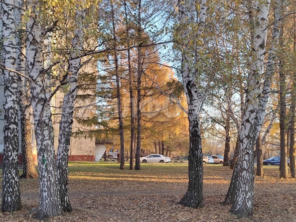 
  Продается 2-комн. квартира, 53.5 м², Чайковского ул
. Фото 13.