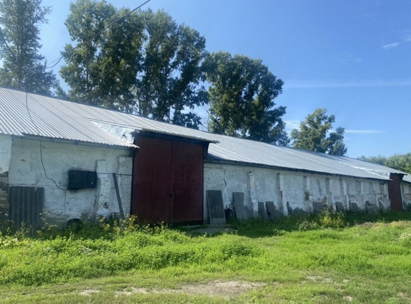 
  Сдается склад 1200 м². Фото 1.
