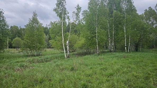 
  Продам дом 112 м². Фото 5.