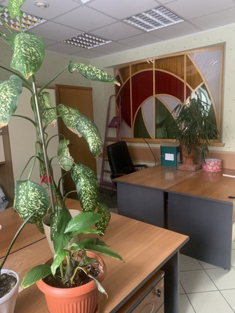 
  Сдается офис 180 м². Фото 24.