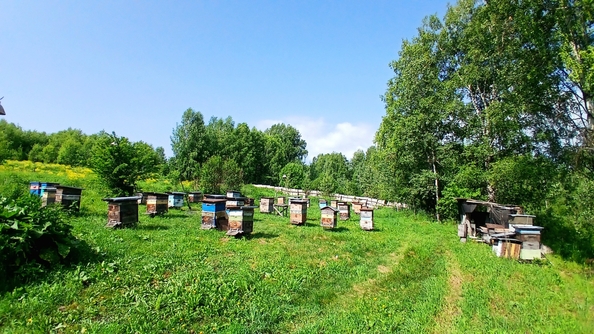
  Продается земельный участок 21.77 сотка. Фото 3.