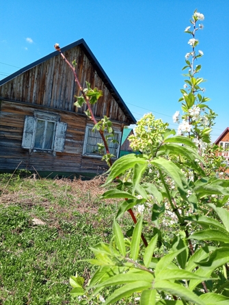 
  Продается дача 59 м². Фото 3.