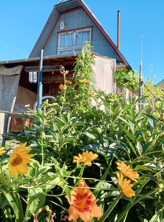 
  Продается дача 40 м². Фото 2.