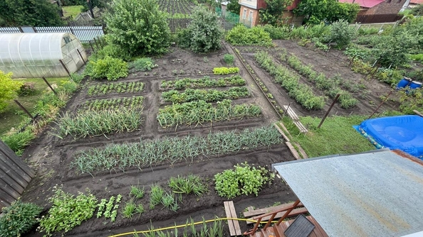 
  Продам дачу 35 м². Фото 9.