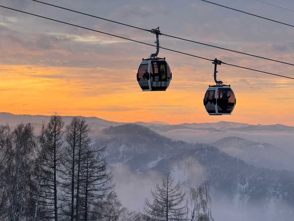 
  Продается земельный участок 1229 соток. Фото 8.
