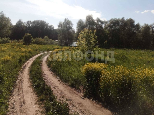 
  Продается земельный участок 0 соток. Фото 6.