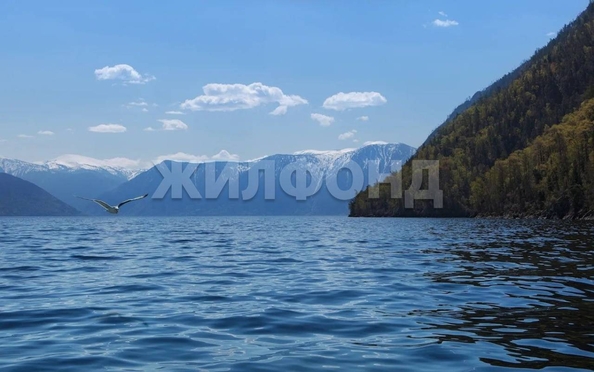 
  Продается земельный участок 0 соток. Фото 11.