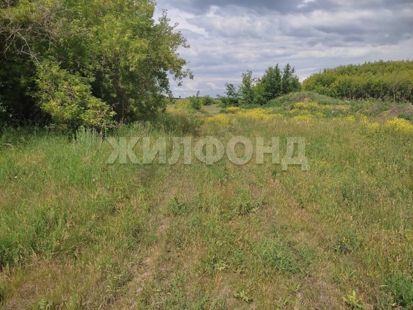 
  Продается земельный участок 0 соток. Фото 1.