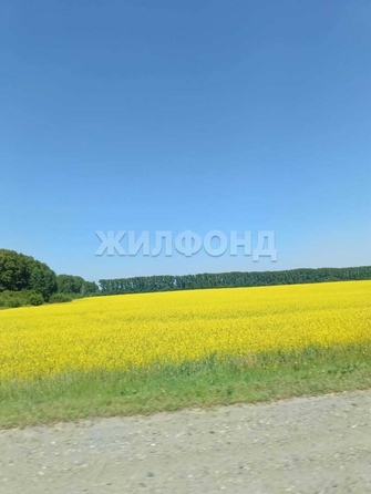 
  Продается земельный участок 0 соток. Фото 3.