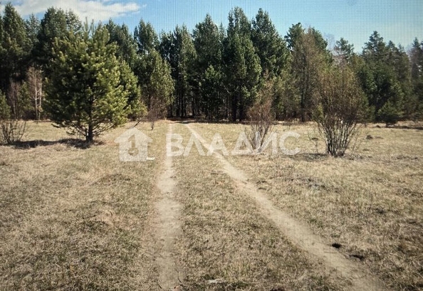 
  Продается земельный участок, 10.07 соток, поселок Аршан
. Фото 3.