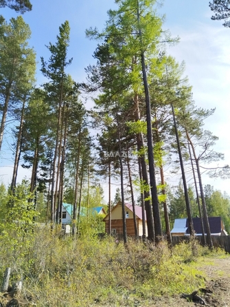 
  Продается земельный участок, 6 соток, село Горячинск
. Фото 3.