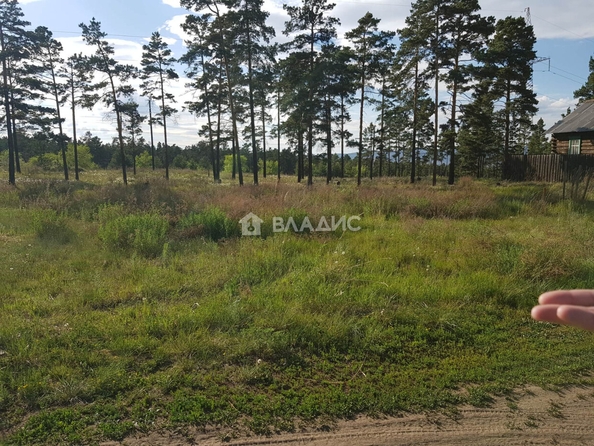 
  Продается земельный участок, 10 соток, территория ДНТ Кедр
. Фото 3.