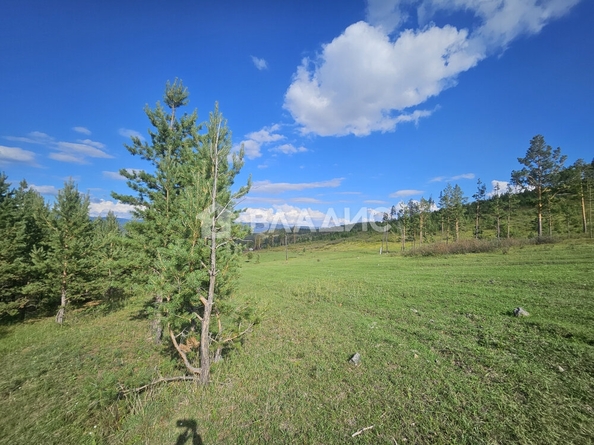 
  Продается земельный участок, 41 сотка, село Сотниково
. Фото 4.