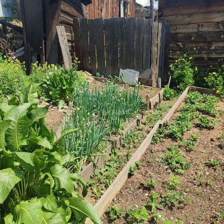 
  Продам 2-комн. квартиру 40 м². Фото 20.