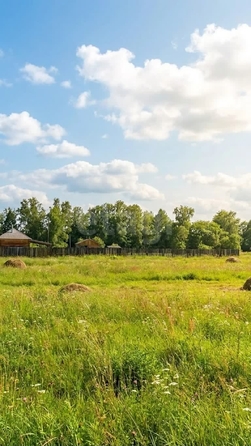 
  Продается земельный участок 9 соток. Фото 6.