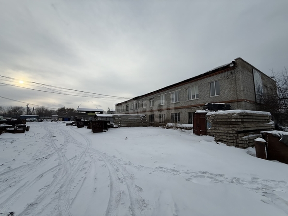 
  Продается земельный участок 54.8 сотки. Фото 1.
