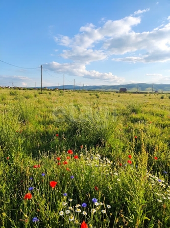 
  Продается земельный участок 8 соток. Фото 1.