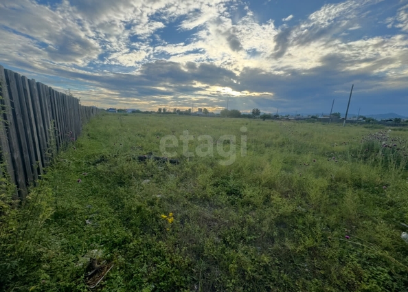 
  Продается земельный участок 80 соток. Фото 5.