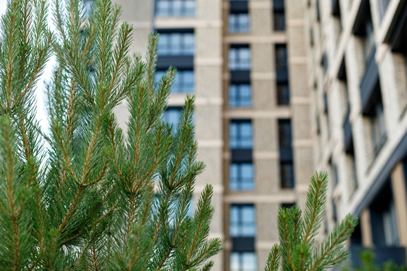 
   Продам 3-комнатную, 68.3 м², Култукская ул, 16

. Фото 21.