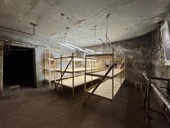 
  Продается универсальное помещение, 172.4 м², Грибоедова ул, д. 5
. Фото 5.
