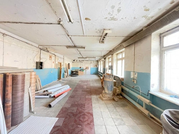 
  Продается готовый бизнес, 2280 м², Молотовая ул, д. 99
. Фото 7.