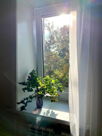 
  Продается 2-комн. квартира, 43.8 м², Академика Курчатова ул, д. 5б
. Фото 12.